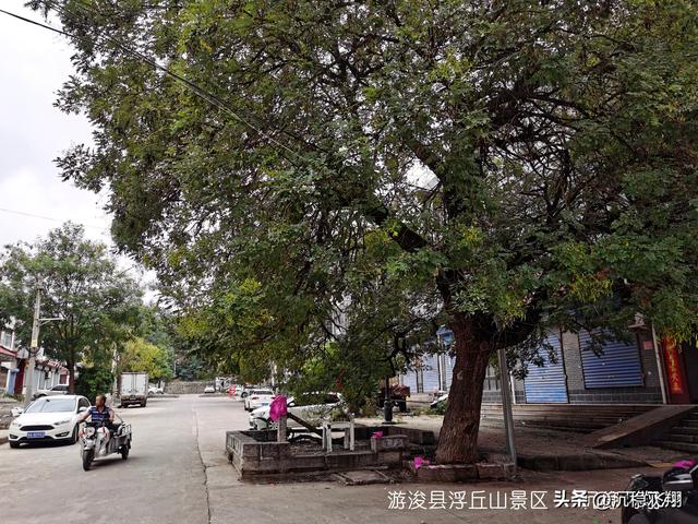 游浚县浮丘山景区