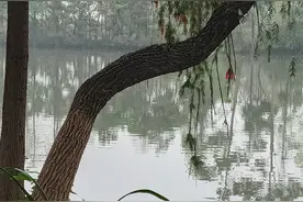 交朋友，绝不能深交的8种人图片