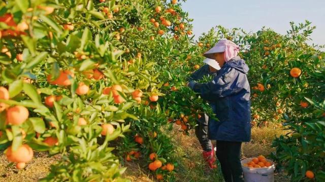 秋冬游热度持续“燃动”，庐山西海“旅游+”融合路径激活诗画胜境