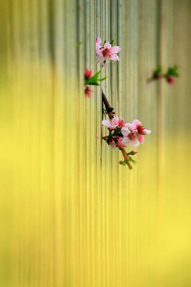 已就位！江阴又一网红打卡点！