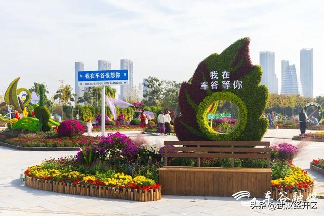 这个秋天，来武汉经开区共赴一场菊花之约