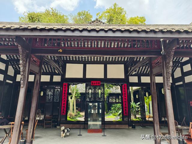 成都古镇（14）郫县唐昌古镇文庙、翰林府&美食