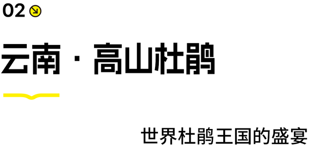 还没结束的花事，槽点太多了！