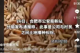 小麦被偷后续：已归还，“贪婪的蝗虫”身份曝光，网友评论区炸锅图片
