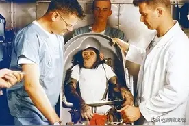 为何黄种人、黑种人和白种人能能生混血后代，而动物却要生殖隔离图片