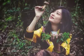 干货满满！林芝松茸的二十种吃法！图片