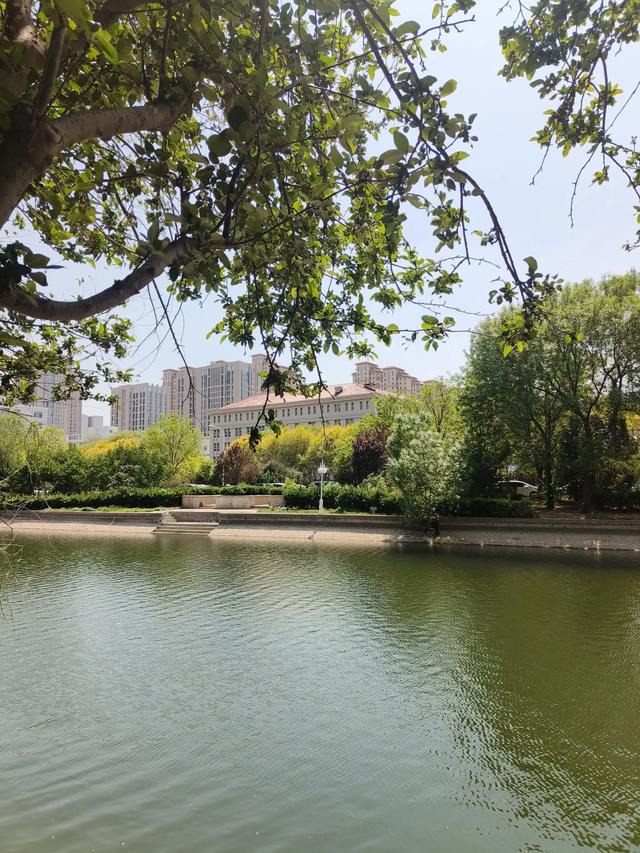 天津《复兴河公园》