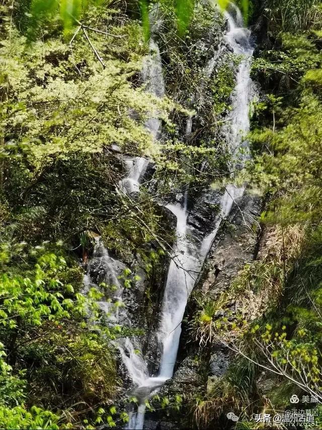 秋高气爽，楠溪江这条经典户外徒步路线等你走起！