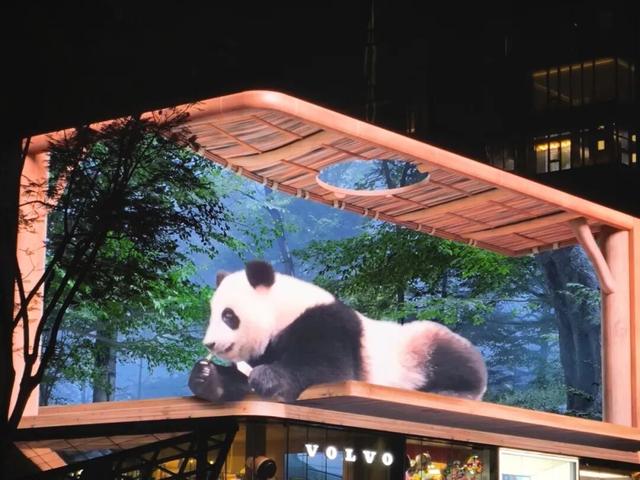 今天坐地铁去看熊猫，再适合不过了！