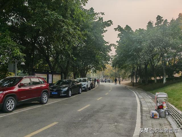 凤栖绿道，湖畔闲游——成都金牛区凤凰山公园游记