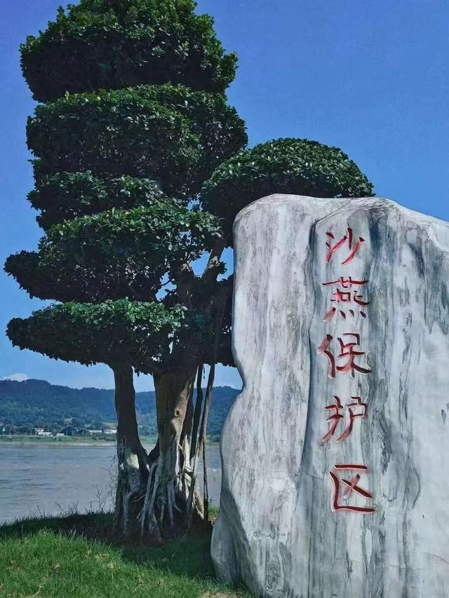 官宣！宜宾又添1个省级旅游度假区！