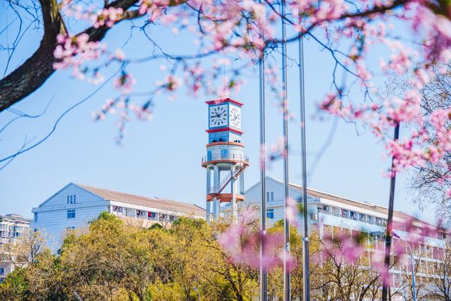 18个受国家眷顾的城市，30年后迎来大变化，苏州成为第一大黑马