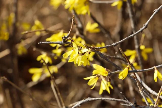 辽滨春色美景上线！邀您共赏~