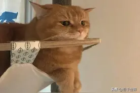 这些暗示语你能听懂吗？第一个我就懵了，看完觉得这些年白活了图片