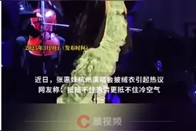 张惠妹被调侃胖成石矶娘娘：演唱会绿色蓬蓬纱裙外裹着绒衣引热议图片