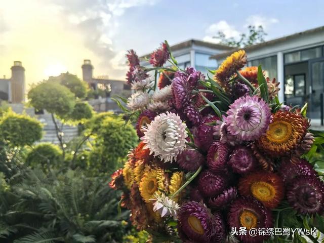 “五一”来绵阳三台！赏花海、品美食、游动物园、看水上表演……
