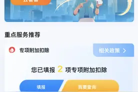 重点功能“首页”直达！个人所得税App换“新貌”图片