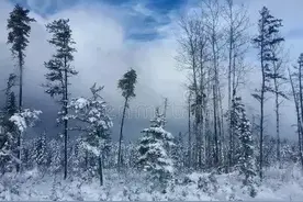 正月“雷打雪”出现，老话“正月打雷，遍地坟头”，有啥预兆？图片