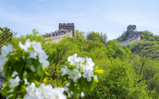 五一被骂最惨六大景区：泰山榜上有名，洛阳令人失望，第一太过分