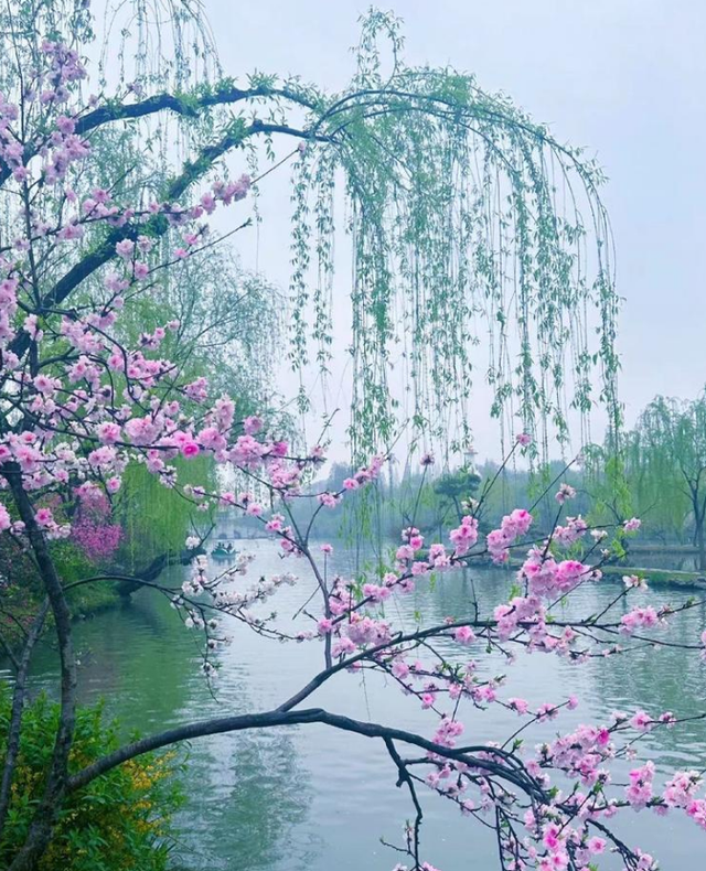 烟花三月下扬州：感受慢生活里的烟火与清欢！