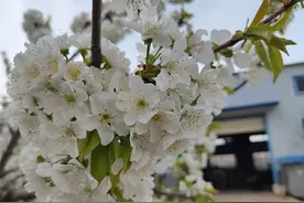 继父经常对我动手动脚，但又没有很过分，他对我算是性骚扰吗？图片