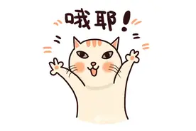 最高可享1.5万元购车补贴！厦门市2025年汽车置换更新补贴开启申请→图片