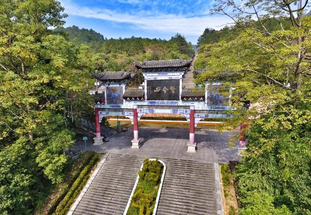 我在阳山过暑假｜夏日来阳山，在绿美生态中感受诗意清凉