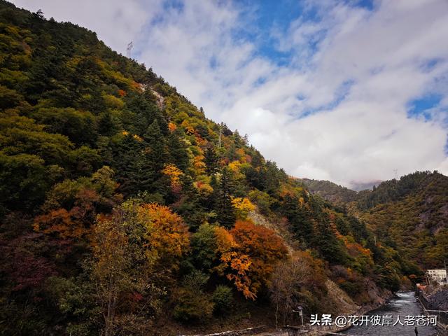 米亚罗彩林季，观赏一日游！