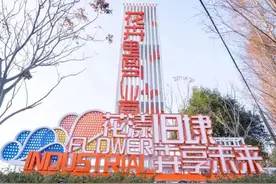 平湖这个村真厉害，“一门三世”五进士、四举人图片