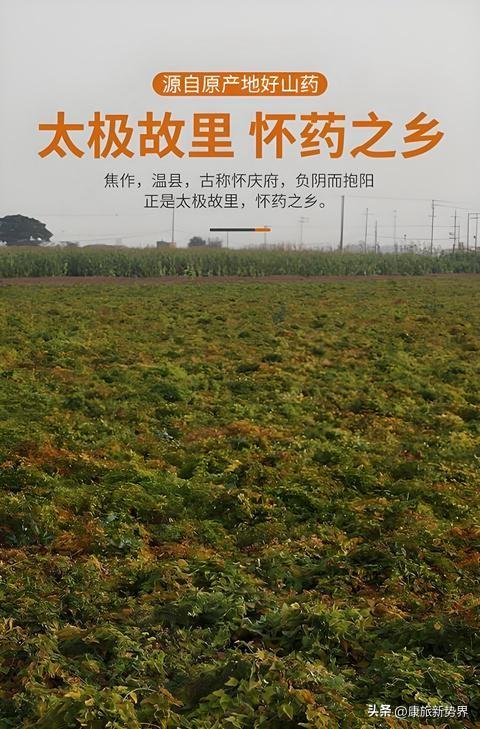 趣哪悠七豫之旅之寻豫根：全民归心拜祖根亲 根亲文化链接天下