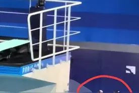 陈若琳的“醍醐灌顶”之术把老外都给蒙圈了，网友：这是中华内功图片