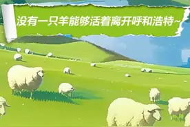 明日开抢！拥有凤凰传奇演唱会门票，这对呼和浩特的“羊咩咩”也很重要！图片