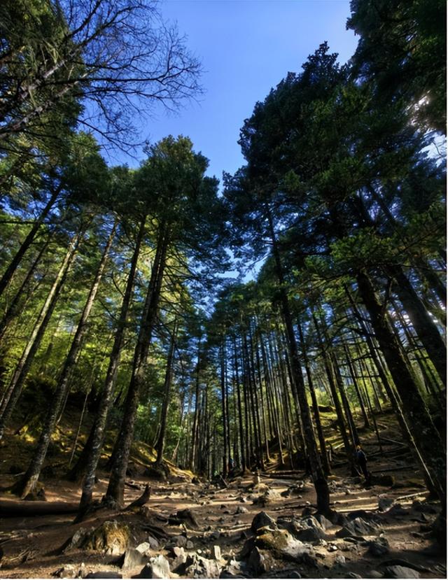 雨崩，一个让人语崩的地方（二）冰湖，上帝的最后一滴眼泪