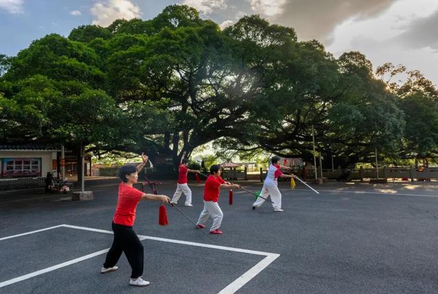 赛事为媒，发展提速！阳山以“体育+”绘就县域高质量发展新图景