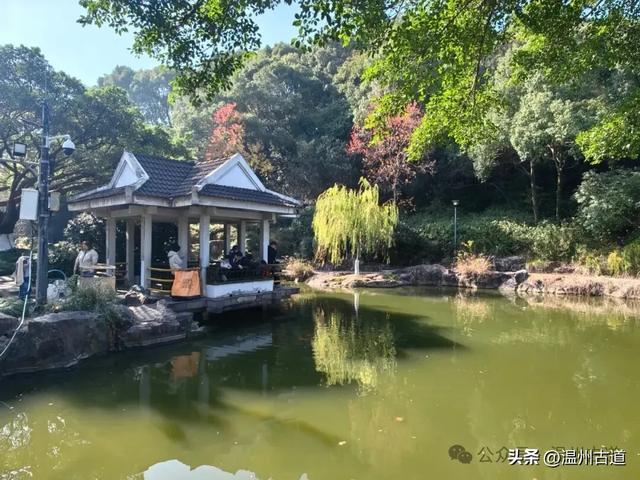 温州这个闹市中的公园，冬天亦有一番好风光！