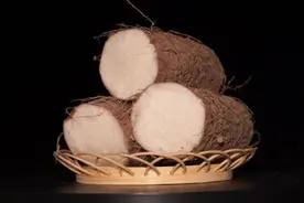 家常补品 淮山图片