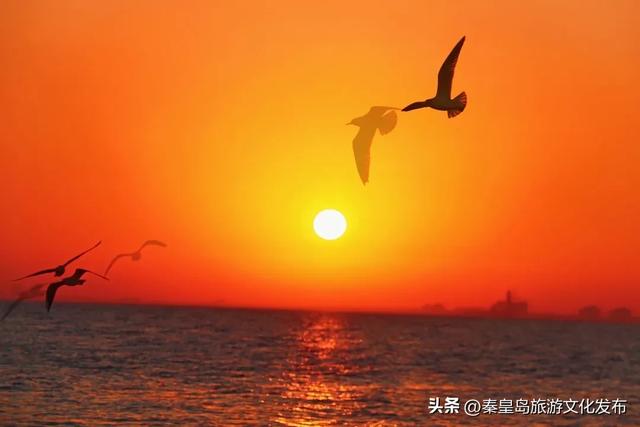 来秦皇岛赴一场美妙的「海上日出」之旅吧！附日出时刻表