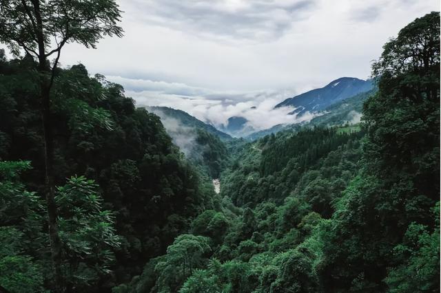 雅安这些景区免票、半价！