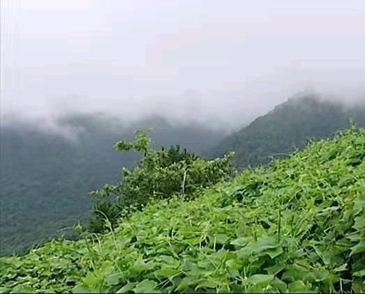 越南河内市西北的三岛山