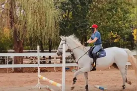 马儿不听话？拒跳？试试这个小练习图片