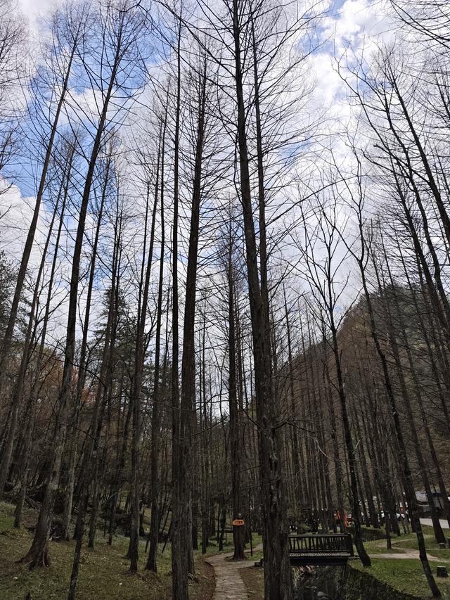 汉中留坝南郑勉县三日游