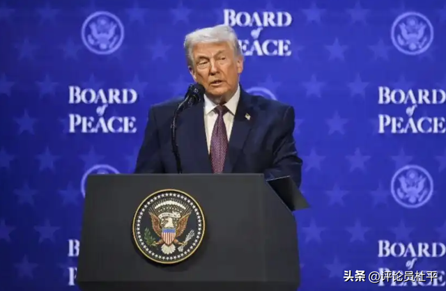 “特朗普2.0	” 一年，美国百年未有之躁动