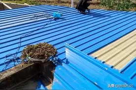 农村随处可见的蓝棚顶，为啥要强制拆除，它的存在碍了谁的眼？图片