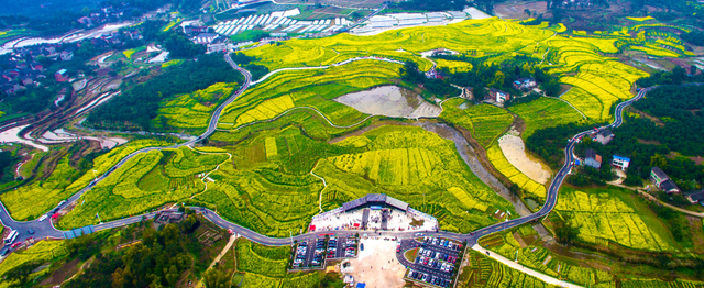 重庆市长寿区历史沿革及行政区划