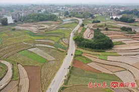 阳春三月好风光 邕城大地春耕忙图片