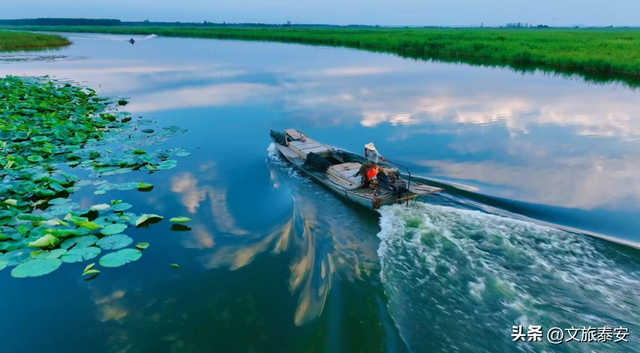 洛阳宝宝冲！四条线路解锁“一山一圣”的新玩法，朋友圈从洛阳卷到山东！