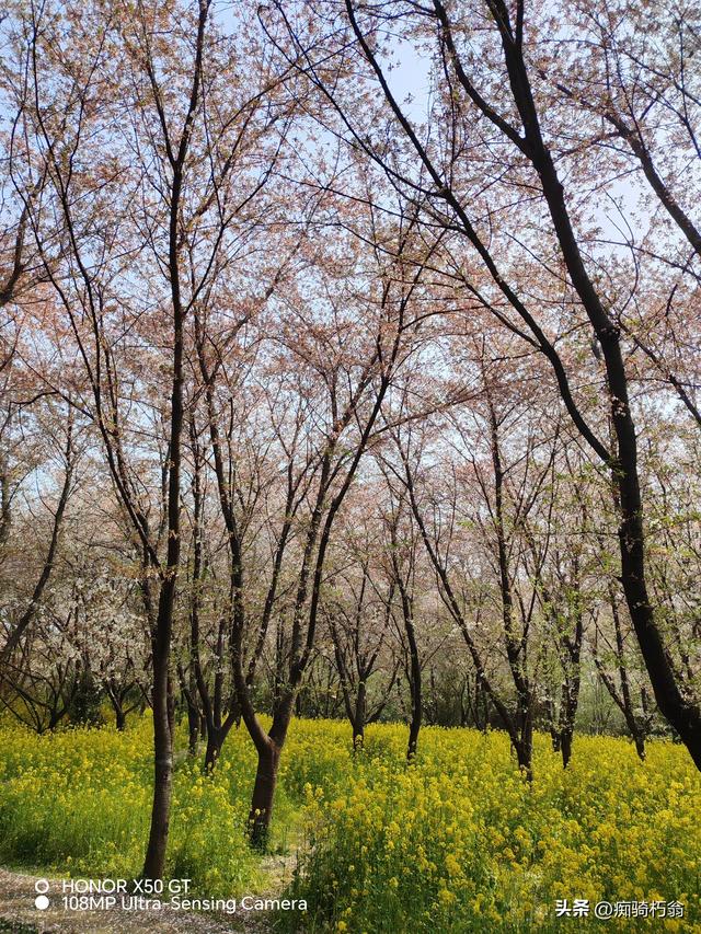 最美最妩媚，人间四月天