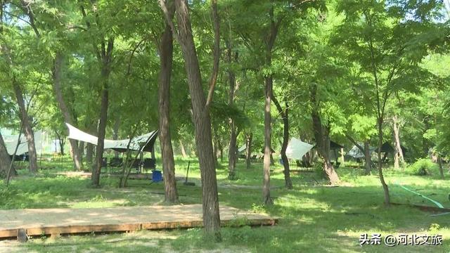 正定这座“天然氧吧” 适合全家露营