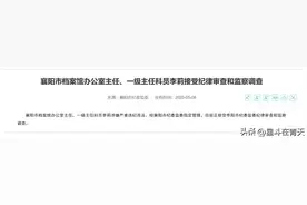 清水衙门不“清”!档案馆办公室主任落马敲响冷门部门警钟图片