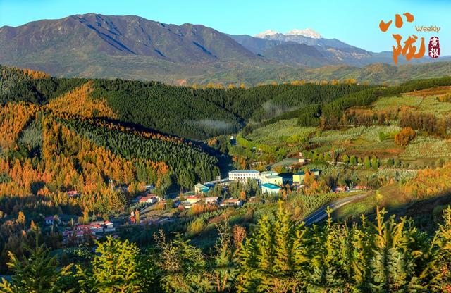 【小陇画报·430期】康乐：深秋美景如画卷 韵味盎然醉眼眸